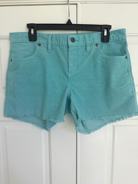 Carve Designs Aqua Frayed Hem  Cord Shorts